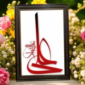 Hazrat Ali A.S Frame | All Sizes Available | Type 44